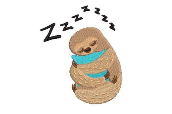 Sloth Sleeping: A Boutique Sweatshirt Review
